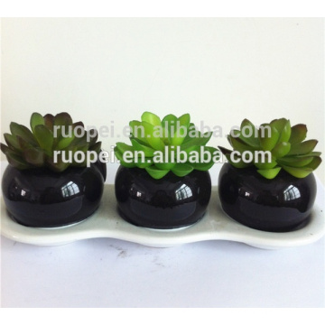 Eye-catching artificial succulent plants for ornament